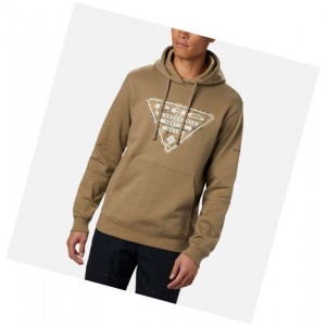 Bluza z Kapturem Columbia PHG Classic Męskie Brązowe | 60XFZBOAK