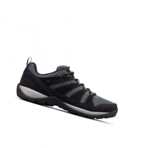 Buty Trekkingowe Columbia Redmond V2 Wide Męskie Jasny Szare | 23PVJZWKO