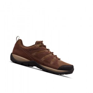 Buty Trekkingowe Columbia Redmond V2 Wide Męskie Złote | 05TMRZOWA