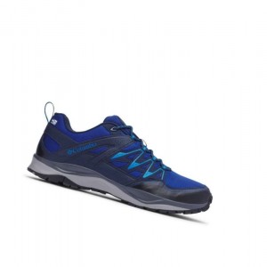 Buty Trekkingowe Columbia Wayfinder OutDry Męskie Królewski Niebieski | 95QKCOVGJ